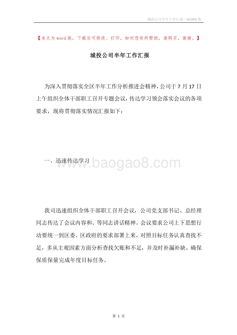 城投公司半年工作汇报.docx_第1页