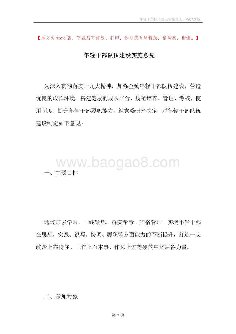 年轻干部队伍建设实施意见.docx_第1页
