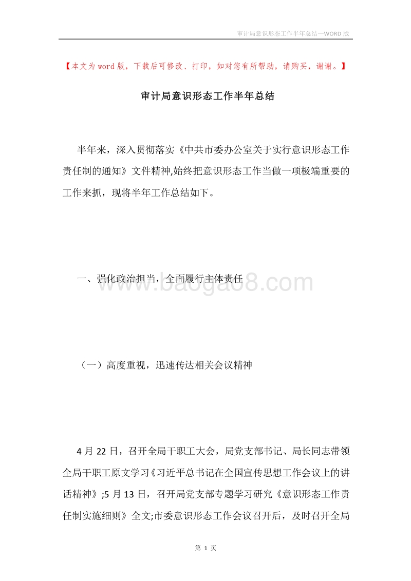 审计局意识形态工作半年总结.docx_第1页