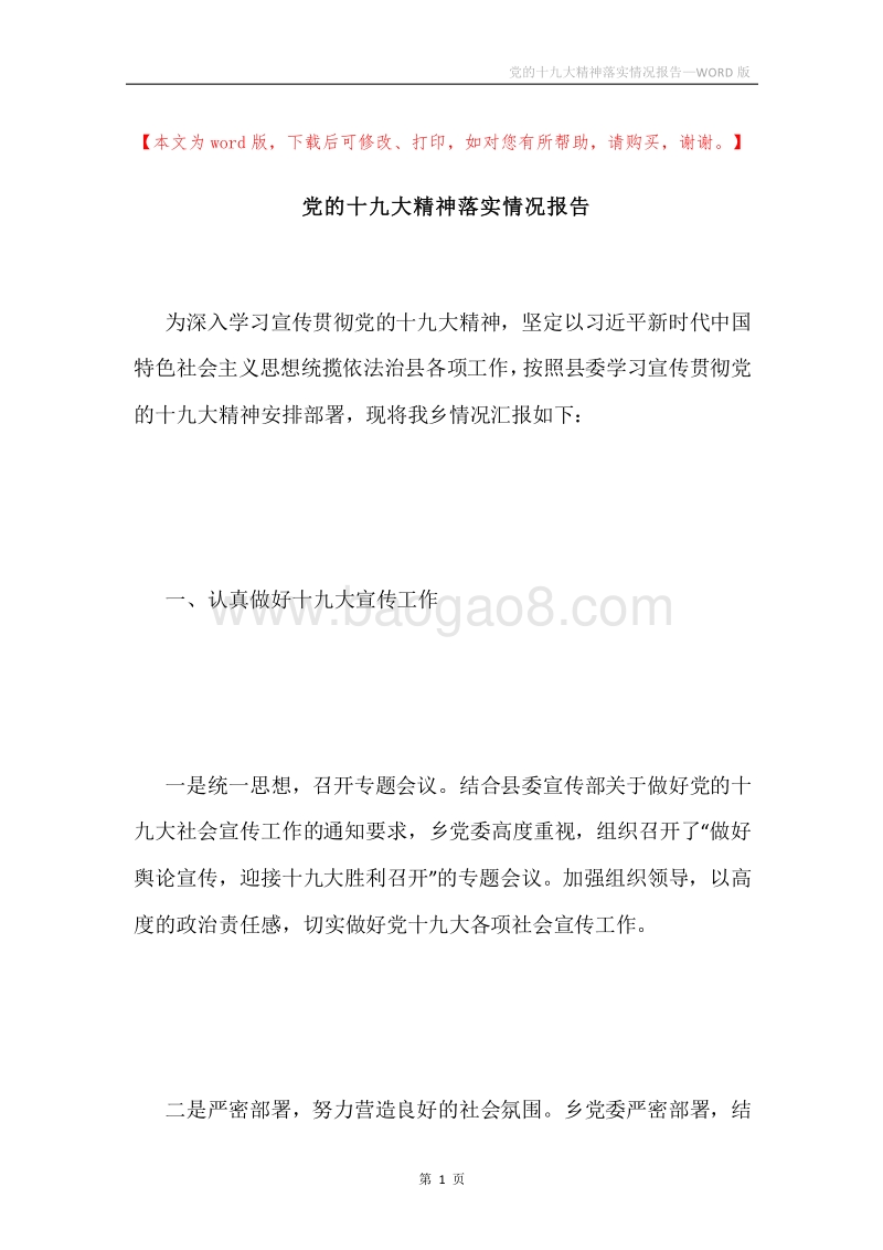党的十九大精神落实情况报告.docx_第1页