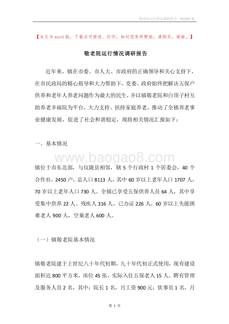 敬老院运行情况调研报告.docx_第1页