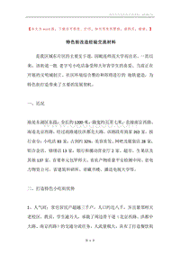 特色街改造经验交流材料.docx