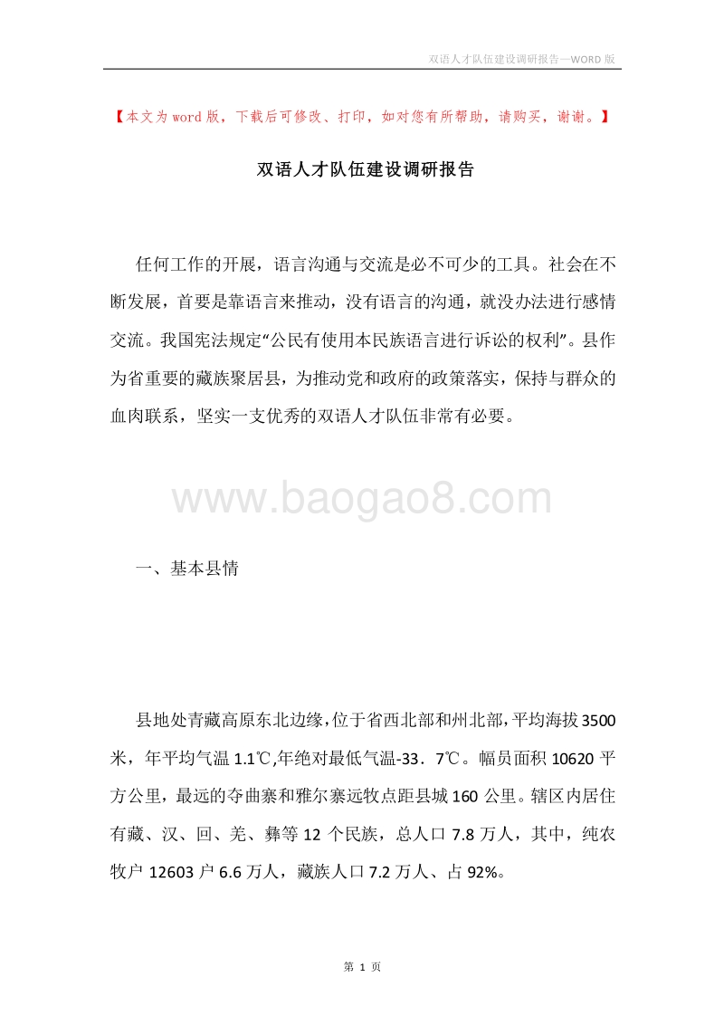 双语人才队伍建设调研报告.docx_第1页