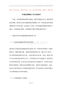 环境监察稽查工作自查报告.docx