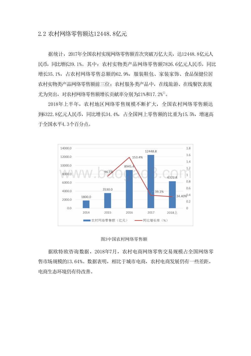 2017-2018中国农村电子商务发展报告.doc_第5页