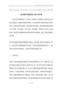 成立新农村建设党小组工作汇报.docx
