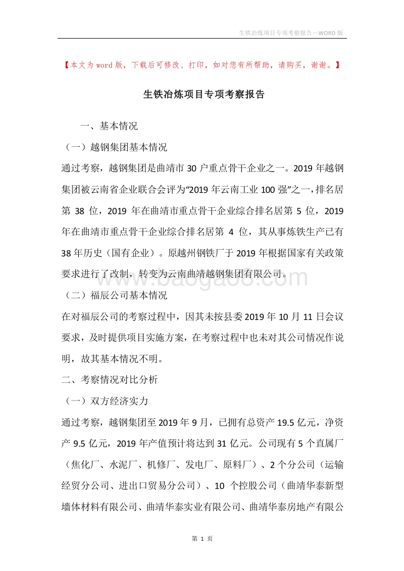 生铁冶炼项目专项考察报告.docx_第1页