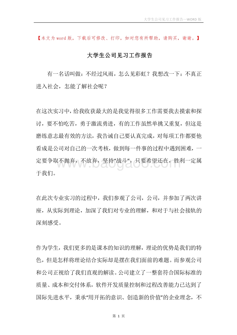 大学生公司见习工作报告.docx_第1页