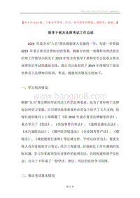 领导干部及法律考试工作总结.docx