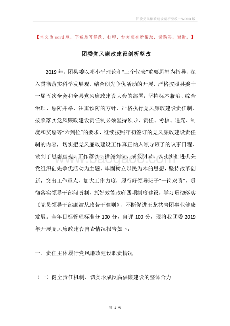 团委党风廉政建设剖析整改.docx_第1页