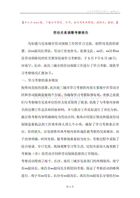 劳动关系调整考察报告.docx
