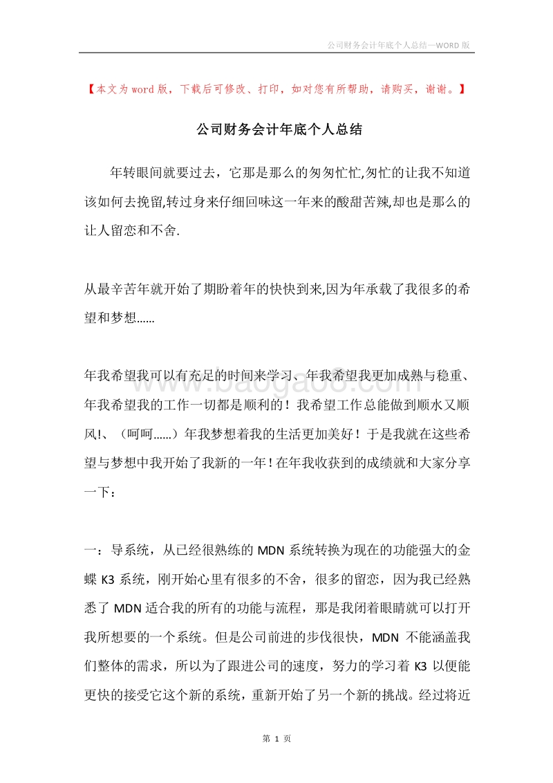 公司财务会计年底个人总结.docx_第1页