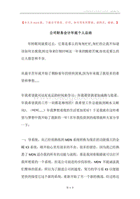 公司财务会计年底个人总结.docx