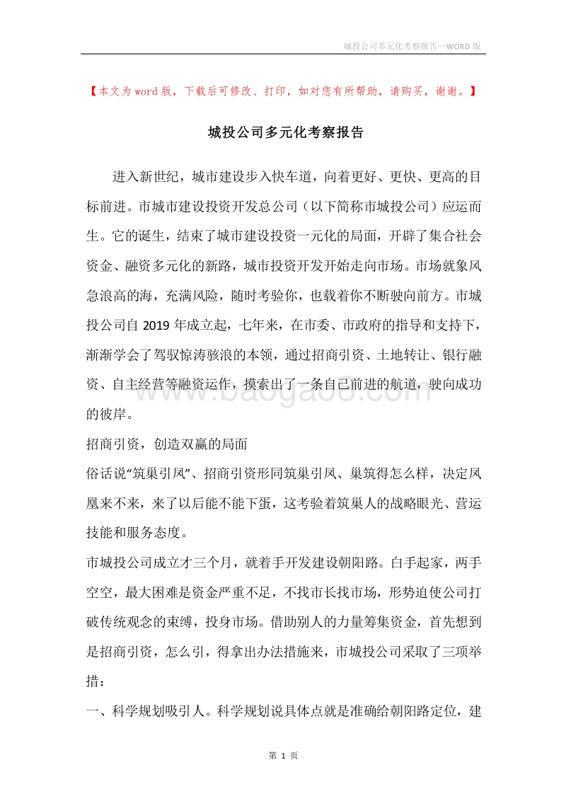 城投公司多元化考察报告.docx_第1页