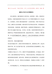 城投公司多元化考察报告.docx