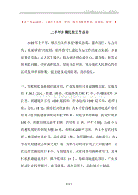 上半年乡镇民生工作总结.docx