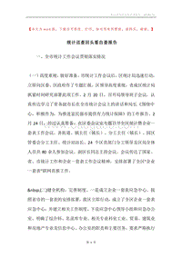 统计巡查回头看自查报告.docx