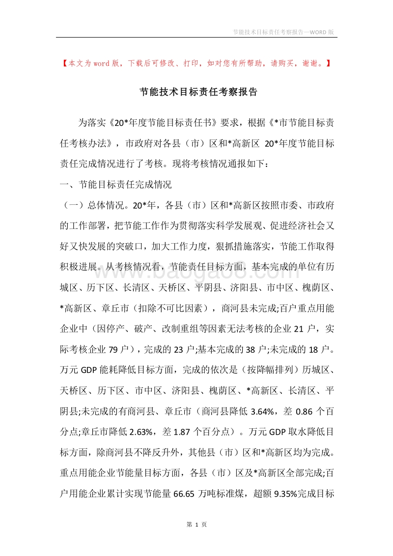 节能技术目标责任考察报告.docx_第1页