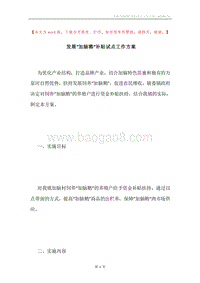 发展“加脑鹅”补贴试点工作方案.docx