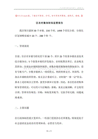 区农村集体财务监管报告.docx