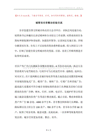 城管局市容整治经验交流.docx