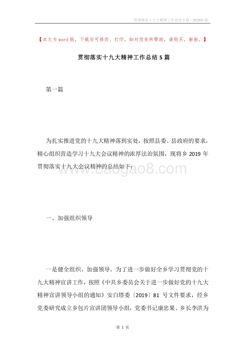 贯彻落实十九大精神工作总结5篇.docx_第1页