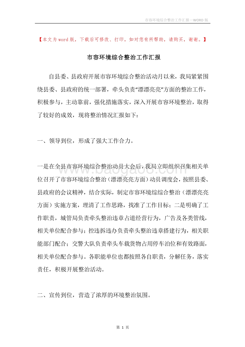 市容环境综合整治工作汇报.docx_第1页