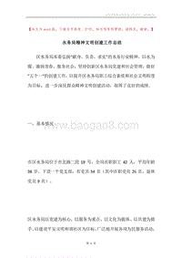 水务局精神文明创建工作总结.docx