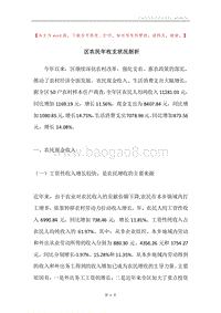 区农民年收支状况剖析.docx