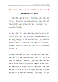 寒假销售碟子社会实践报告.docx