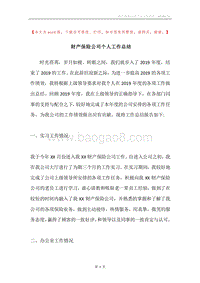 财产保险公司个人工作总结.docx