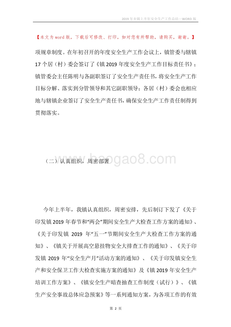 2019年乡镇上半年安全生产工作总结.docx_第2页