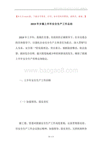 2019年乡镇上半年安全生产工作总结.docx