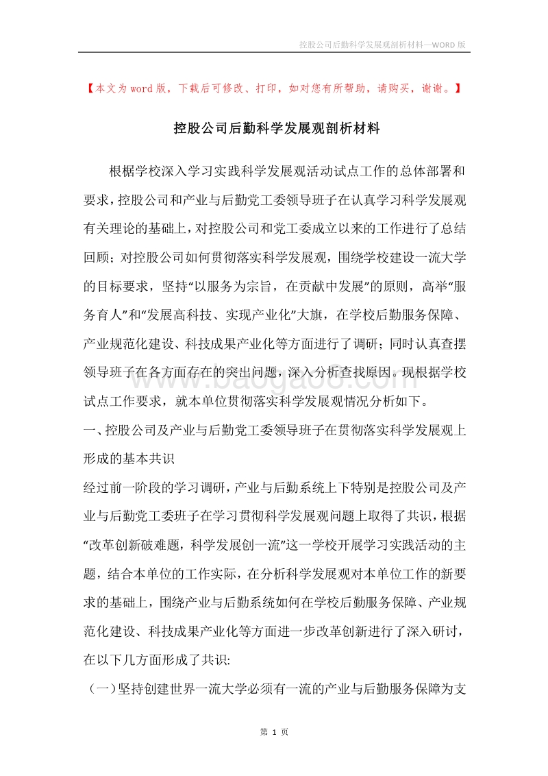 控股公司后勤科学发展观剖析材料.docx_第1页