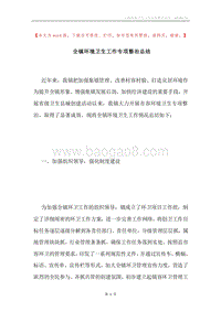 全镇环境卫生工作专项整治总结.docx