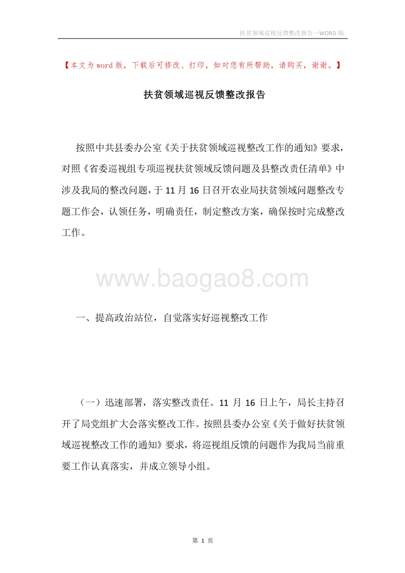 扶贫领域巡视反馈整改报告.docx_第1页