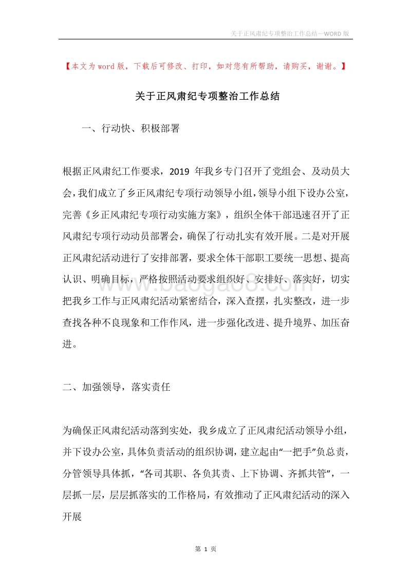 关于正风肃纪专项整治工作总结.docx_第1页