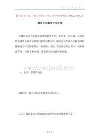 城投公司融资工作汇报.docx