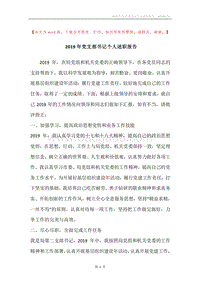 2019年党支部书记个人述职报告.docx