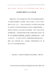 农办领导干部学习十九大工作汇报.docx