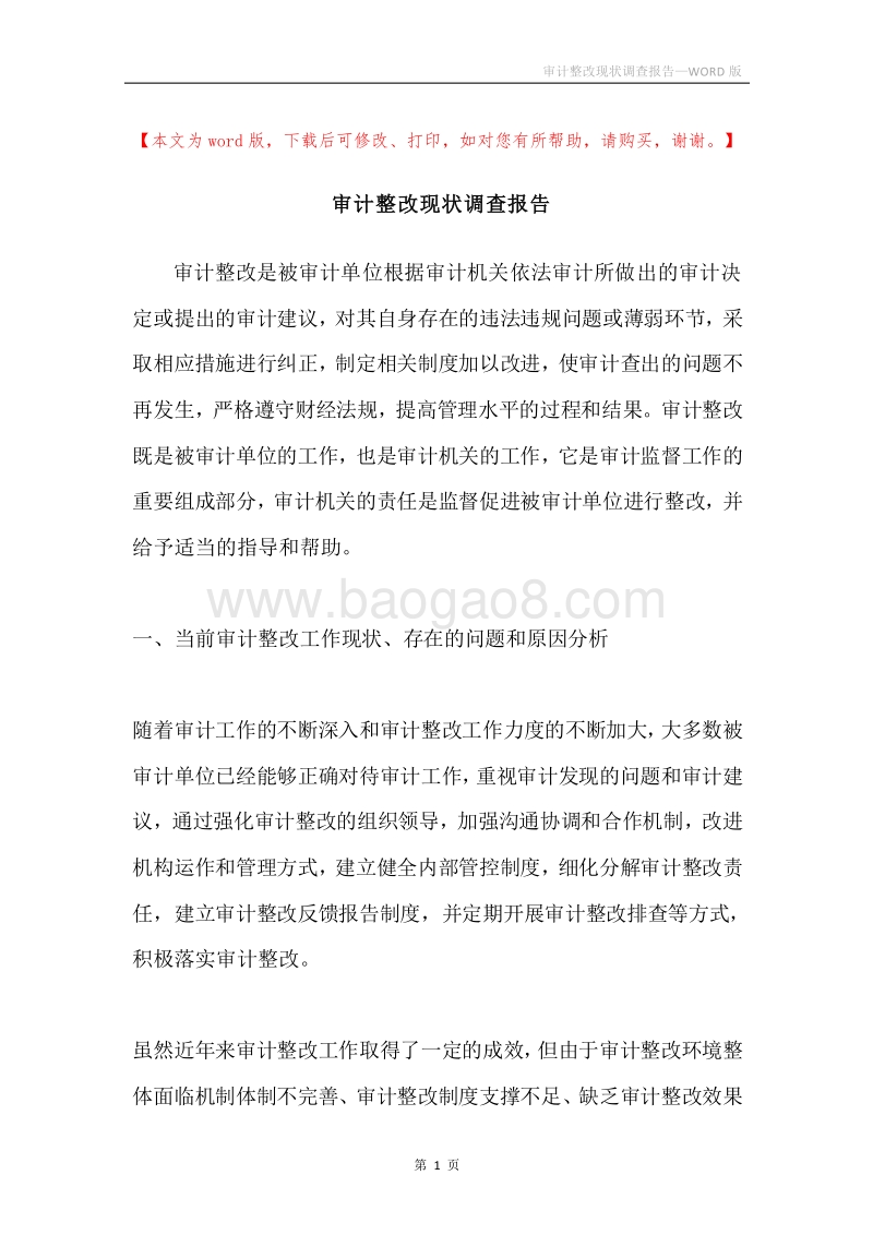 审计整改现状调查报告.docx_第1页