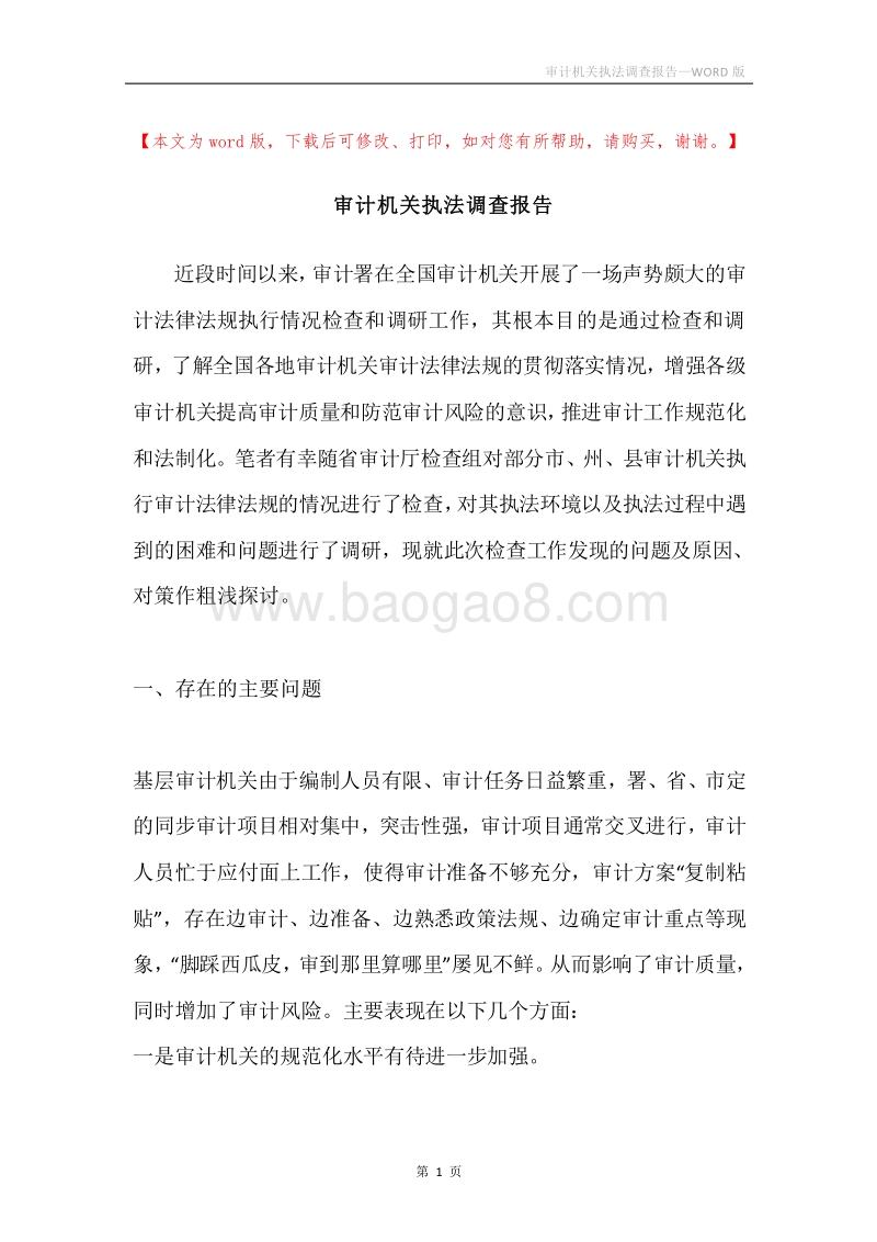 审计机关执法调查报告.docx_第1页