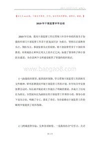2019年干部监管半年总结.docx