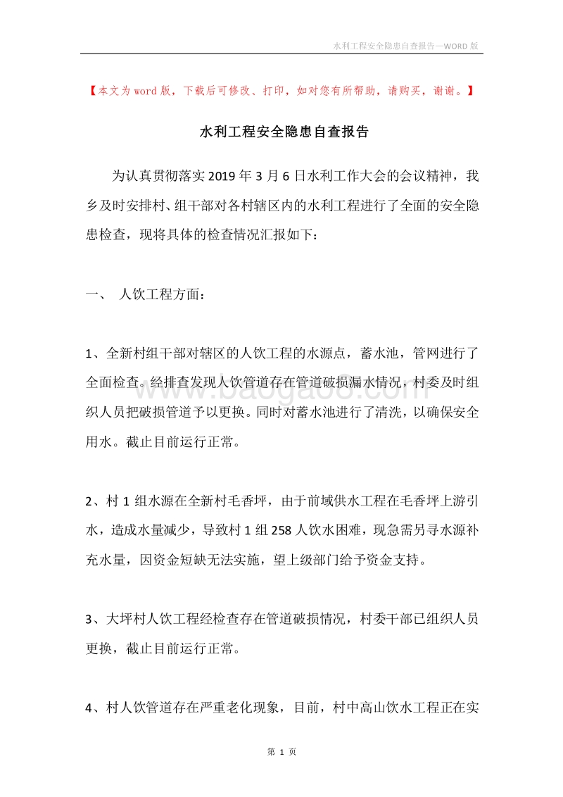 水利工程安全隐患自查报告.docx_第1页