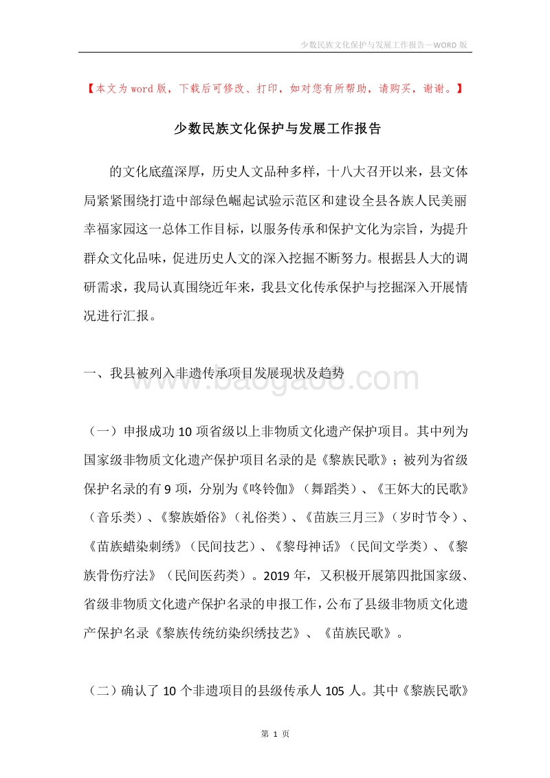 少数民族文化保护与发展工作报告.docx_第1页