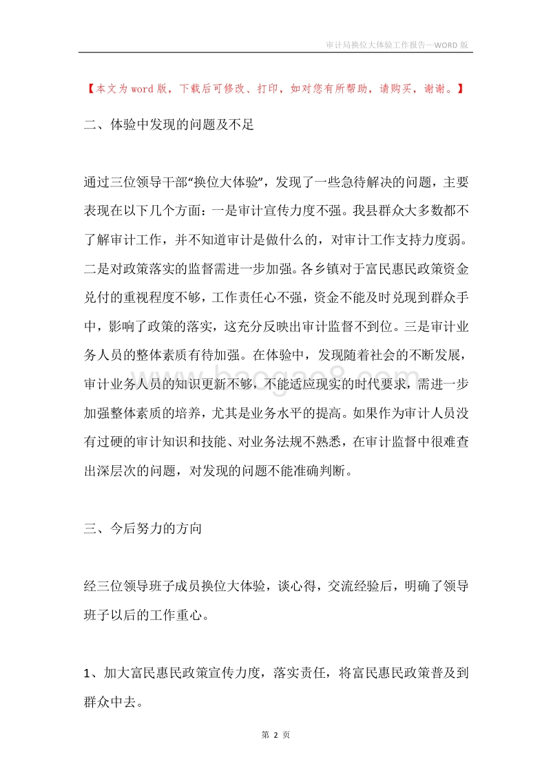 审计局换位大体验工作报告.docx_第2页