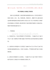 审计局换位大体验工作报告.docx