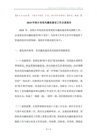 2019年统计局党风廉政建设工作自查报告.docx