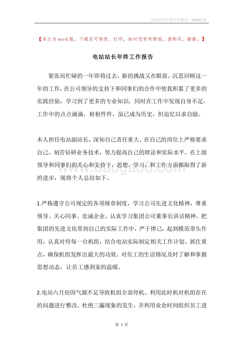 电站站长年终工作报告.docx_第1页