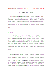 市文化单位年度工作汇报.docx